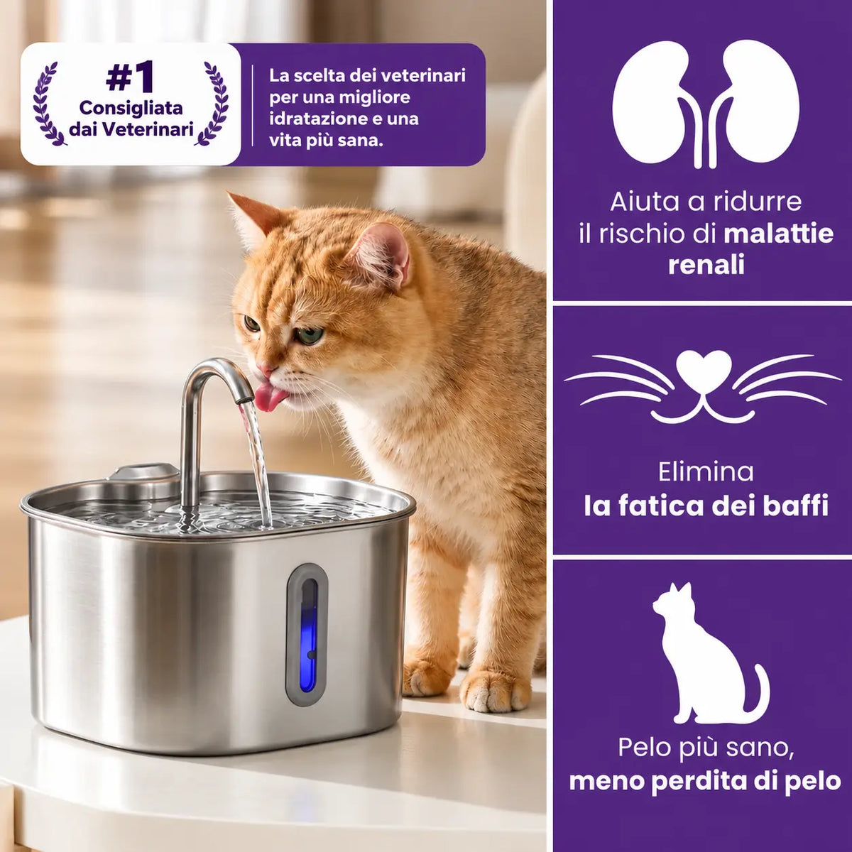 Fontanella per Gatti 2,2L in Acciaio Inox